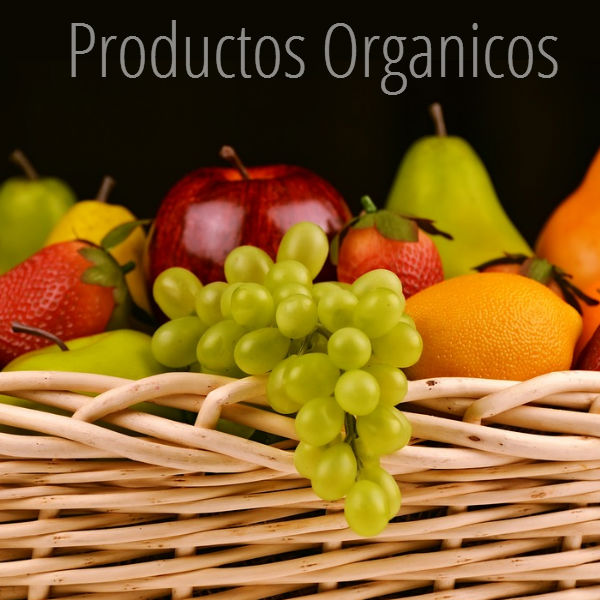 Productos Organicos