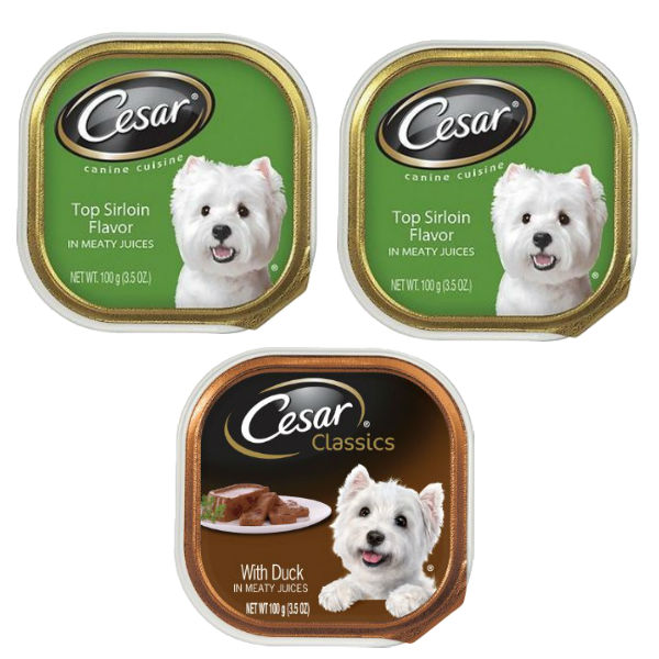 Cesar Dog Food Tray