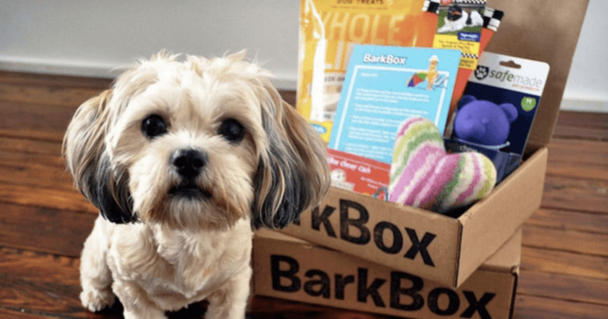 Juguetes para Perritos, golosinas y regalos todos los meses con BarkBox
