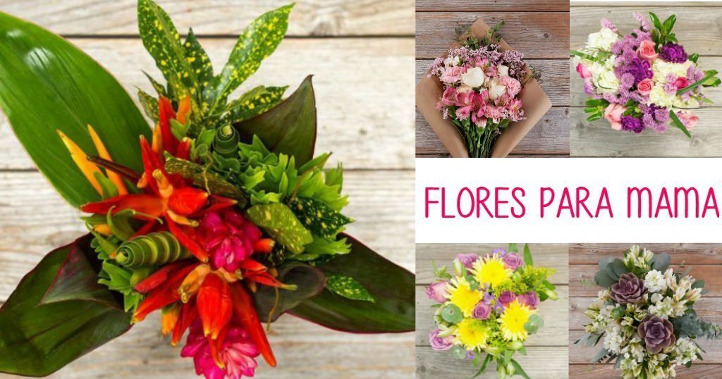 Regala Flores en el Día de las Madres usando Bouqs